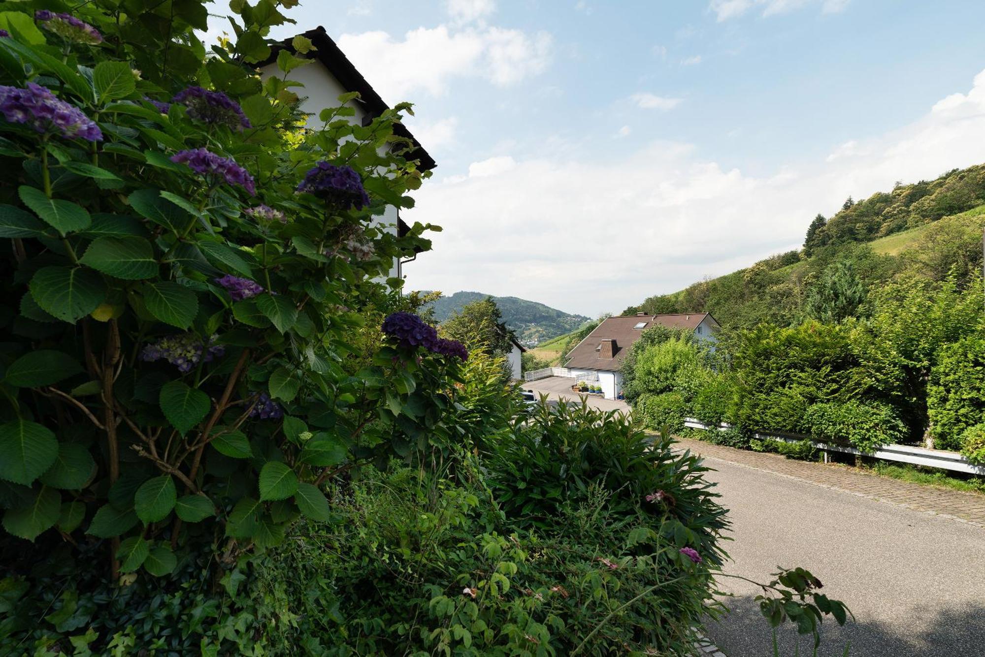 Ferienwohnung Wintereck Bühlertal Buitenkant foto